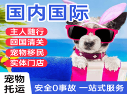 奔牛航空邮寄国际宠物托运 【国
